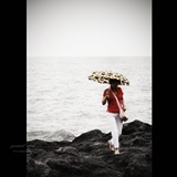 dailyPhoto36