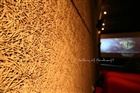 dailyPhoto12