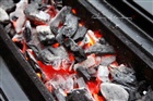 dailyPhoto9