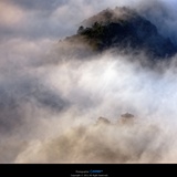 dailyPhoto1