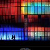 dailyPhoto11
