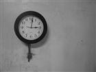 dailyPhoto18