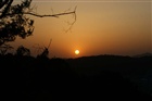dailyPhoto36