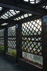 dailyPhoto1