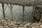 dailyPhoto5