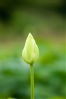 dailyPhoto36