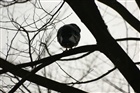 dailyPhoto10