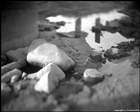 dailyPhoto36