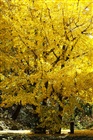 dailyPhoto36