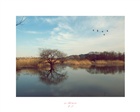 dailyPhoto36