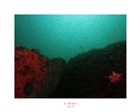 dailyPhoto28
