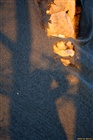 dailyPhoto24