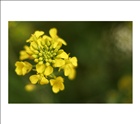 dailyPhoto9