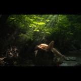 dailyPhoto11