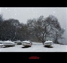 dailyPhoto15