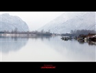 dailyPhoto8