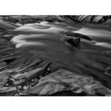 dailyPhoto8