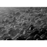 dailyPhoto17
