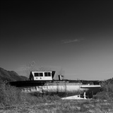dailyPhoto39