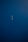 dailyPhoto26