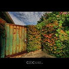 dailyPhoto32