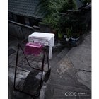 dailyPhoto26