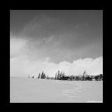 dailyPhoto13