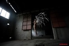 dailyPhoto11