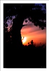 photo1