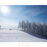 dailyPhoto6