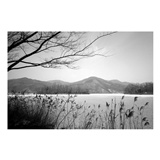 dailyPhoto30