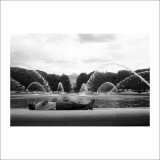 dailyPhoto36