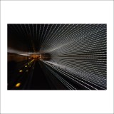 dailyPhoto17