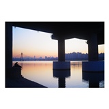 dailyPhoto7