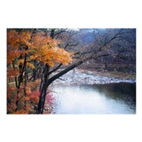 dailyPhoto4