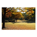 dailyPhoto8