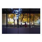 dailyPhoto34