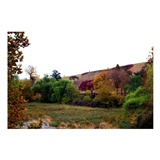 dailyPhoto11