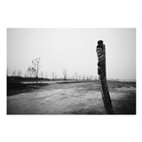 dailyPhoto15