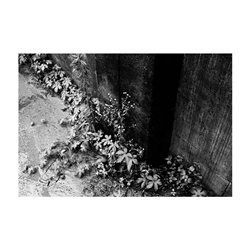 dailyPhoto12