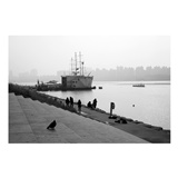 dailyPhoto9