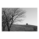 dailyPhoto36