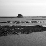 dailyPhoto38