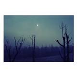 dailyPhoto31