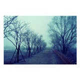dailyPhoto8