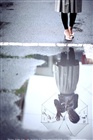 dailyPhoto11