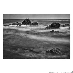 dailyPhoto19