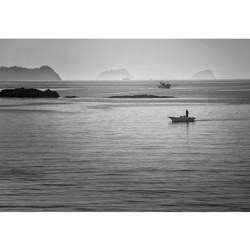 dailyPhoto1