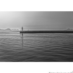 dailyPhoto20