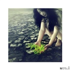 dailyPhoto15